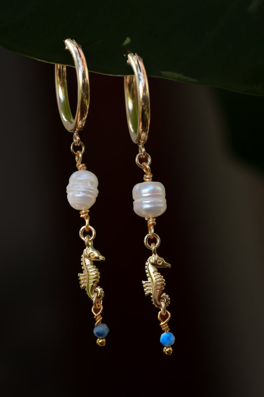 Alegría earrings